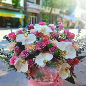 hop-hoa-anh-nang-hanh-phuc-dienhoaonline-020321