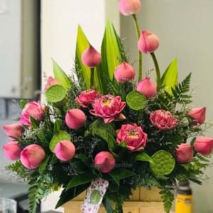 hop-hoa-sen-hong-thanh-tao-020321
