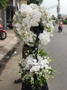 ke-hoa-chia-buon-anh-sang-thien-dang-130321