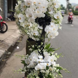 ke-hoa-chia-buon-anh-sang-thien-dang-130321