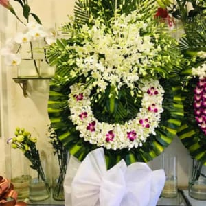 ke-hoa-chia-buon-le-roi-tien-dua-01-120321