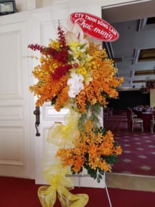 ke-hoa-khai-truong-than-tai-79-130321