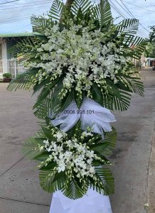 ke-hoa-chia-buon-coi-vinh-hang-151021