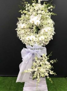 ke-hoa-chia-buon-hu-vo-161021