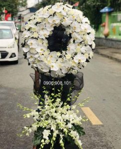 ke-hoa-chia-buon-kinh-dang-251021-01