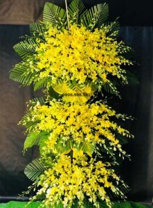 ke-hoa-chia-buon-doa-hoa-vo-thuong-141221