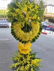 ke-hoa-chia-buon-long-thanh-kinh-091221