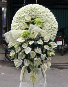 ke-hoa-chia-buon-vang-sanh-091221